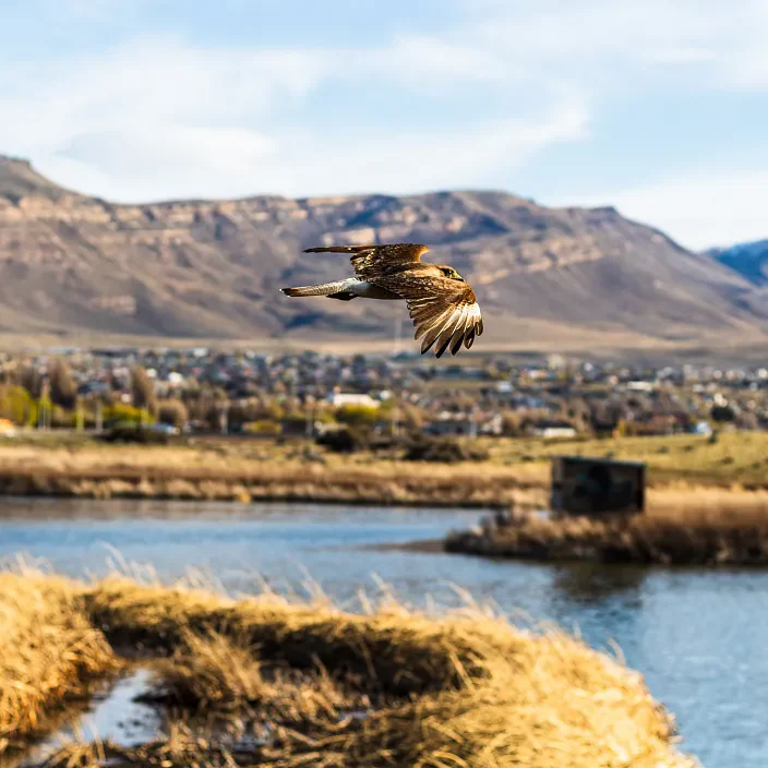 APARTS MUNDO AUSTRAL